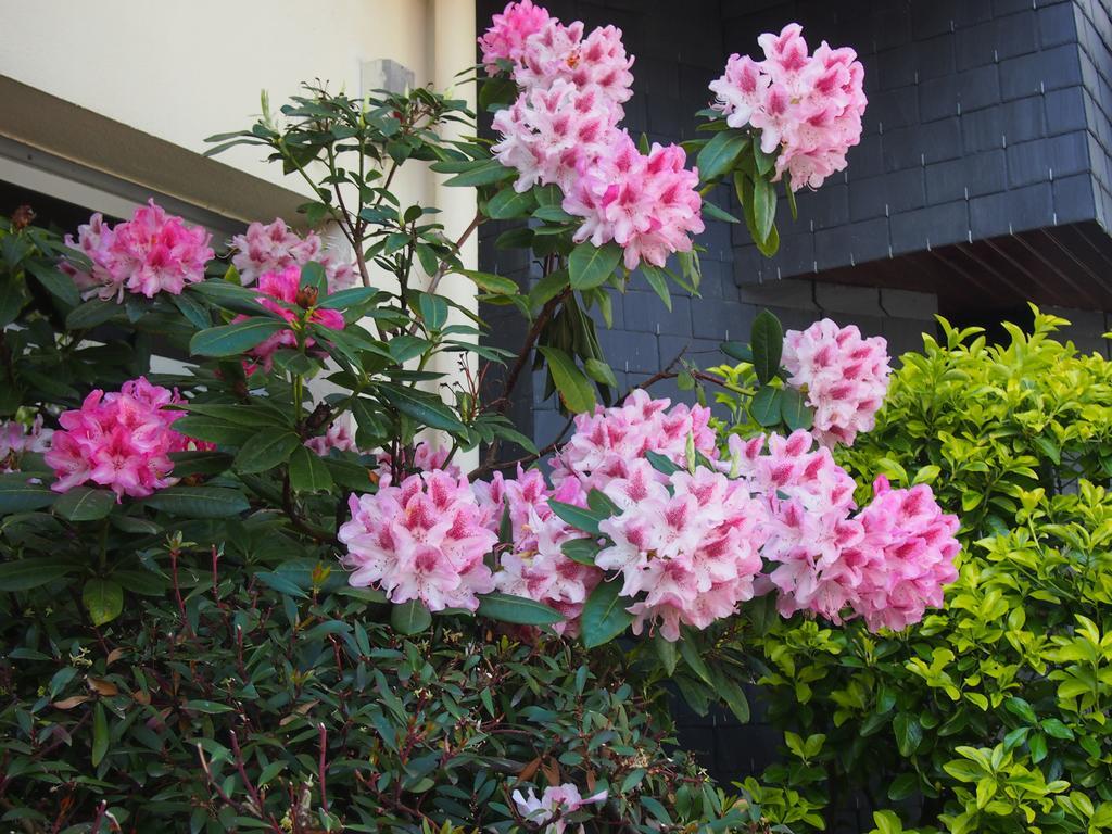 Comfort Hotel Rosporden Concarneau 外观 照片